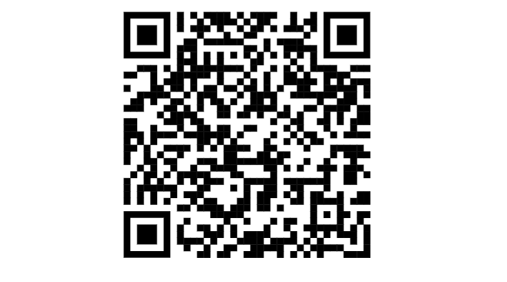 https://ocenka-270225.testograf.ru/.